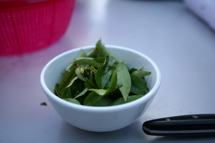 fresh curry leaves