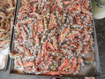 Prawns at the market