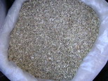 cumin seed