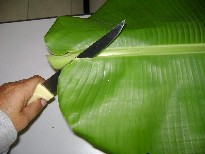 Remove spine from the banana leaf