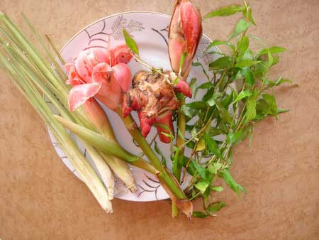 laksa leaves. Daun kesum or laksa leaves