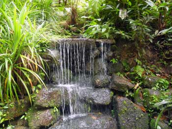 Tropical Spice Garden, Penang