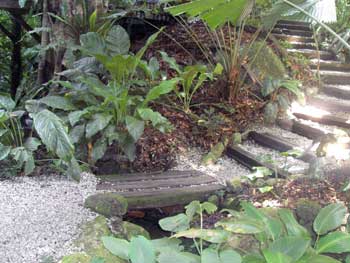 Tropical Spice Garden Penang