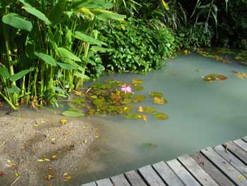 Tropical Spice Garden Penang