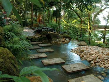 Stepstones over a brook at Tropical Spice Garden