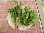 Fresh coriander, mint and scallion