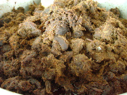 beef rendang