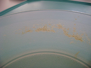stain is not covered by Tupperware warranty