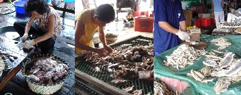 Steps involved in making salted fish